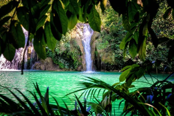 Egy Gyönyörű Kép Egy Vízesésről Egy Mexikói Erdőben — Stock Fotó