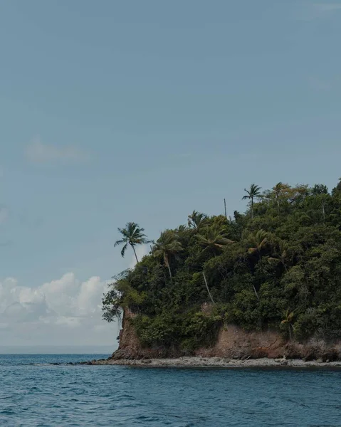 stock image A lush island with tropical trees in the middle of a sea, off the coast of The Dominican Republic