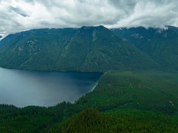 Воздушный Кадр Видом Красивый Ярко Зеленый Лес Озеро Флора — стоковое фото