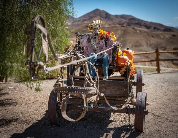 Detail Terrifying Skeleton Driving Cart Halloween Pumpkins Abandoned Far West — Stock Photo, Image