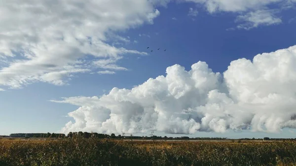 Пейзаж Облаками Летний День — стоковое фото