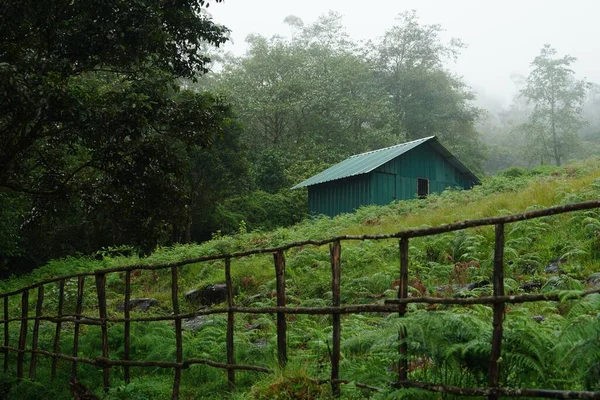 Uma Pequena Cabana Verde Meio Uma Exuberante Floresta Verde — Fotografia de Stock