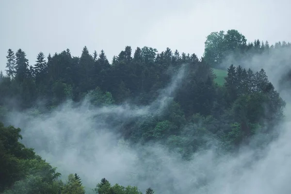Uma Vista Panorâmica Das Colinas Cobertas Floresta Verde Dia Nebuloso — Fotografia de Stock