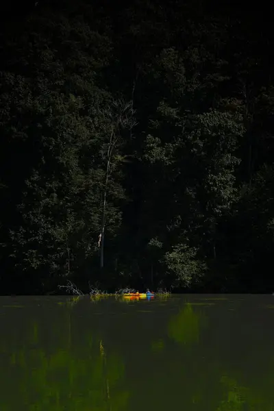 Двое Мужчин Гребут Лодках Живописному Озеру Окружении Лиственных Деревьев Густого — стоковое фото