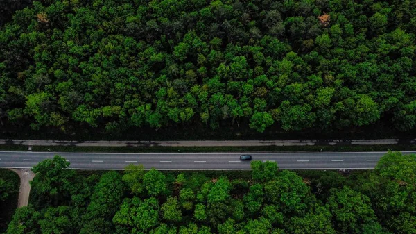 Orman Ağaçlarıyla Çevrili Bir Otoyolun Havadan Görüntüsü — Stok fotoğraf
