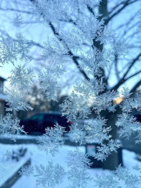 Eine Vertikale Aufnahme Schöner Schneeflocken Fenster Mit Dem Hinterhof Hintergrund — Stockfoto