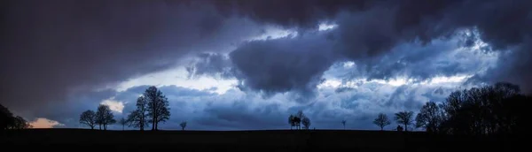 Panorama Silhuett Träd Mot Blå Molnig Himmel — Stockfoto