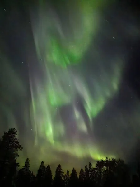 Gece Gökyüzündeki Büyüleyici Kuzey Işıklarının Dikey Görüntüsü — Stok fotoğraf