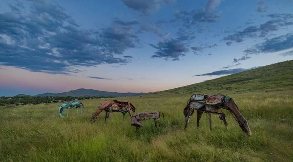 Vier Metalen Paarden Groene Weide Tijdens Het Blauwe Uur Glassford — Stockfoto