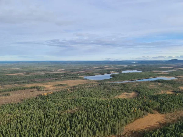 Ett Drönarskott Över Träd Och Små Sjöar Norra Sverige — Stockfoto