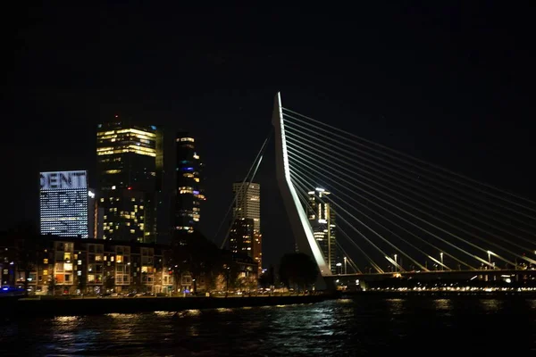 荷兰港口城市鹿特丹的Erasmus桥基础设施明亮的夜间建筑细节 其电缆线清晰可见 — 图库照片