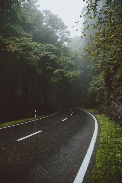 Függőleges Felvétel Egy Aszfaltos Útról Egy Zöld Erdőben Egy Esős — Stock Fotó