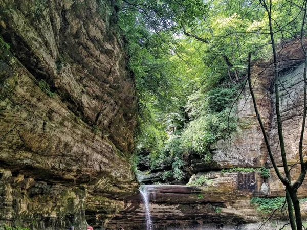Uma Vista Panorâmica Uma Pequena Cachoeira Com Vegetação Exuberante Starved — Fotografia de Stock