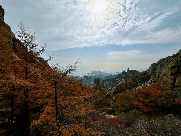 Foglie Arancio Tra Montagne Rocciose — Foto Stock
