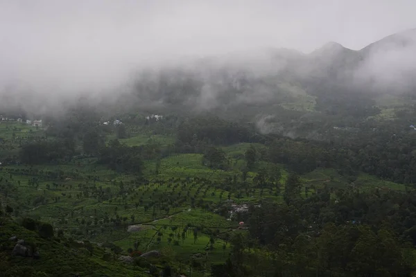 Una Exuberante Plantación Con Una Montaña Fondo Niebla Que Levanta —  Fotos de Stock