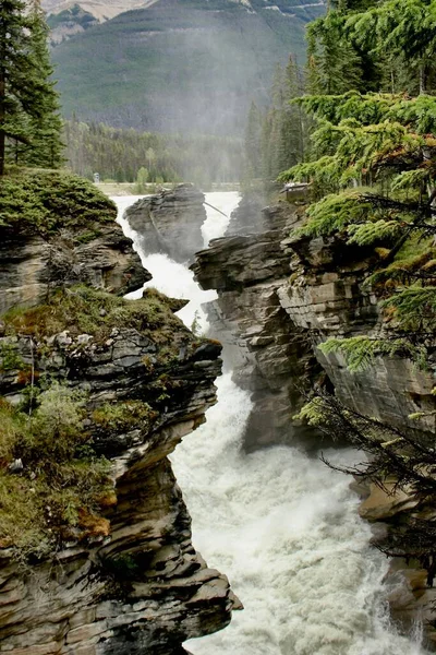 Eine Vertikale Der Faszinierenden Athabasca Wasserfälle Wasserfall Jasper Nationalpark Alberta — Stockfoto
