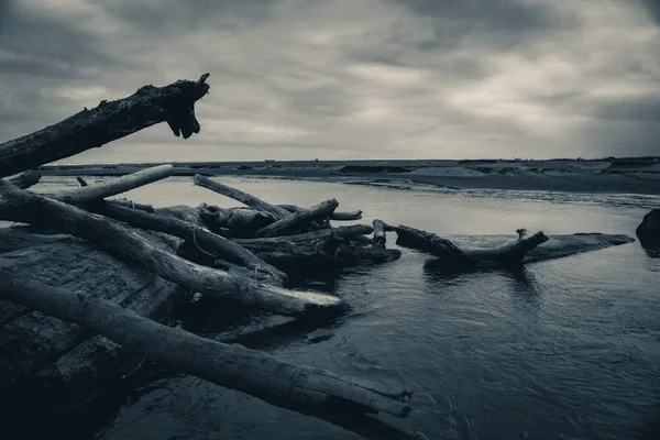 在阴沉沉的一天里 在河岸上 在乌云密布的天空下 在河里 一片树木残破的黑暗镜头 — 图库照片