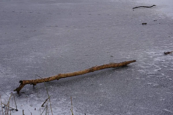 Ein Schöner Blick Auf Trockene Äste Auf Einem Zugefrorenen See — Stockfoto
