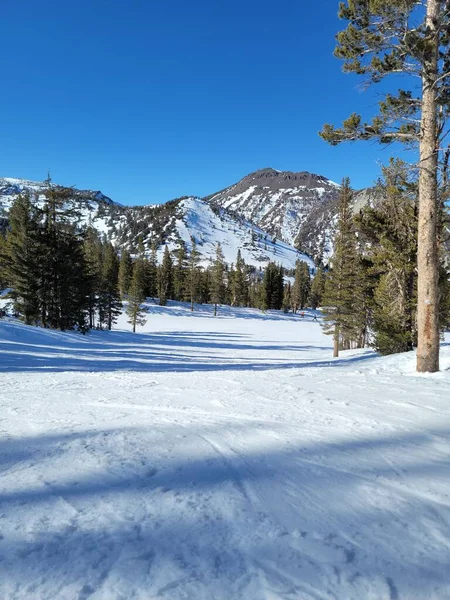 Uno Scatto Verticale Paesaggio Invernale Con Alberi Montagne Innevate — Foto Stock