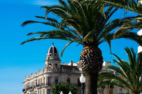 西班牙塔拉戈纳的一棵棕榈树和一座古建筑 — 图库照片