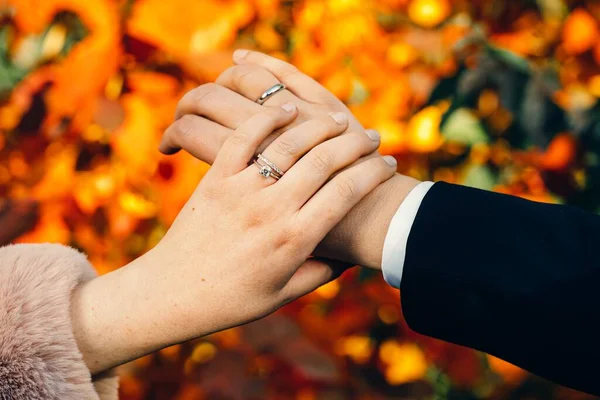 Een Close Van Een Bruid Bruidegom Handen Dragen Trouwringen — Stockfoto