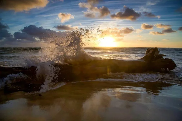 美しい夕日の海の波が倒木の幹に飛び散る様子 — ストック写真