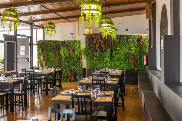 Une Vue Panoramique Sur Intérieur Restaurant Magnifiquement Décoré Avec Végétation — Photo