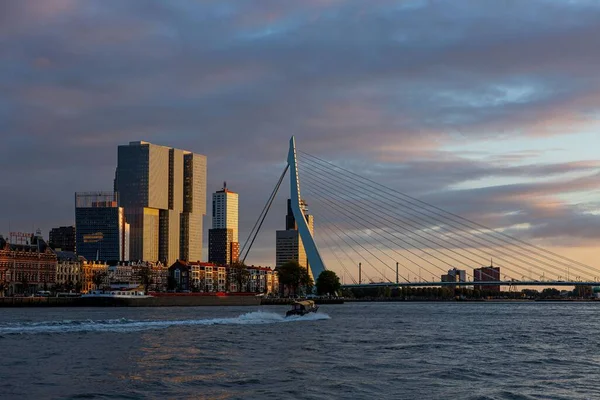 鹿特丹的天际线 部分是著名的Erasmus桥 有着前卫的古建筑 日落时在典型的现代摩天大楼后面 — 图库照片