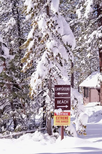 Vertical Shot Signpost Directions Warning Forest Winter — Stock Photo, Image