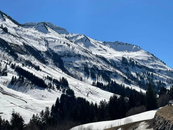 Vacker Naturscen Med Snötäckta Berg Och Tallar Den Blå Himlen — Stockfoto