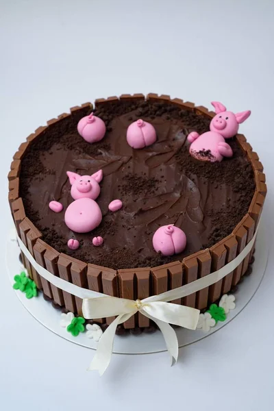 Beautiful Closeup Chocolate Cake Design Pigsty Swines — Stock Photo, Image