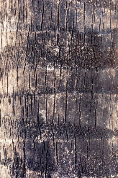 木の質感の垂直ショット — ストック写真