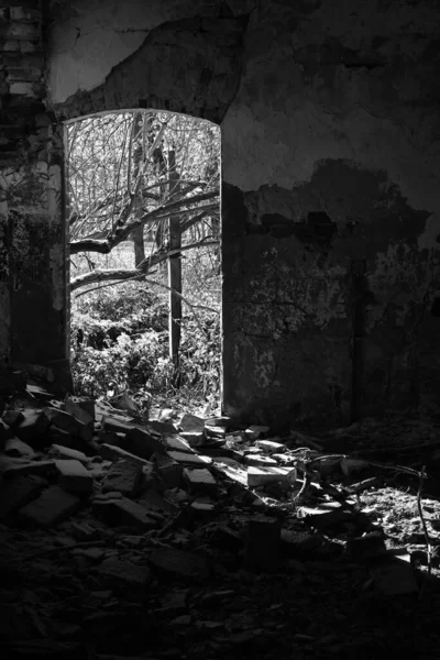 廃墟となった建物のグレースケール — ストック写真
