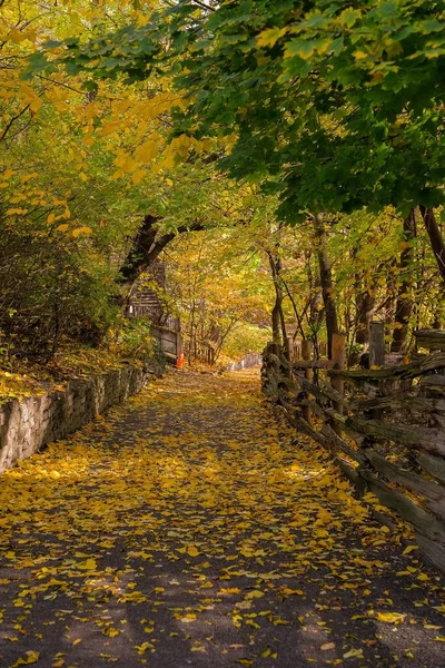 Ein Herbst Sitzung Herbst Auf Riverdale Farm Kanada Toronto — Stockfoto