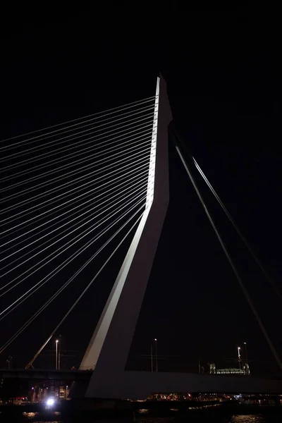 荷兰鹿特丹港口城市Erasmus桥基础设施的夜间建筑细节被照亮 电缆线清晰可见 — 图库照片