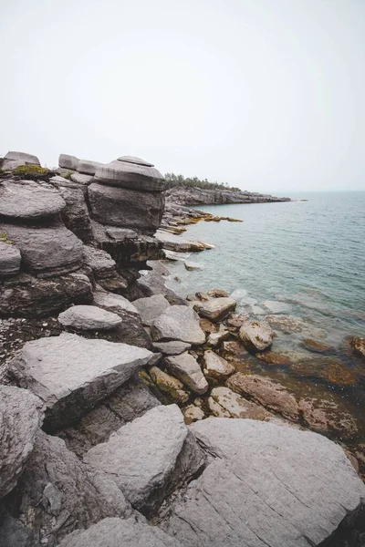 Vertikal Dimmig Morgon Längs Klipporna Vid Havet Newfoundland — Stockfoto