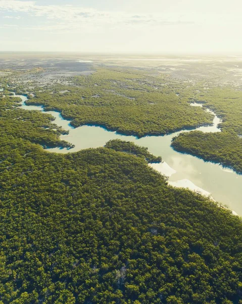 Widok Powietrza Doliny Rzeki Pod Błękitnym Niebem — Zdjęcie stockowe