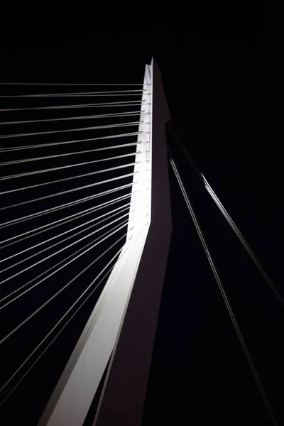荷兰鹿特丹港口城市Erasmus桥基础设施的夜间建筑细节被照亮 电缆线清晰可见 — 图库照片