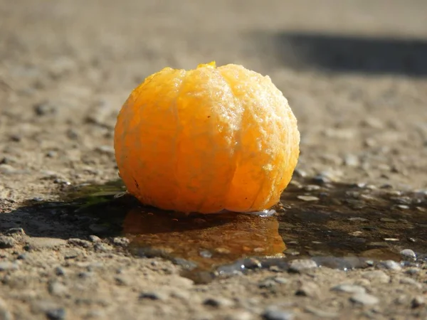 Nahaufnahme Einer Geschälten Mandarine Auf Dem Boden Sonnenlicht — Stockfoto