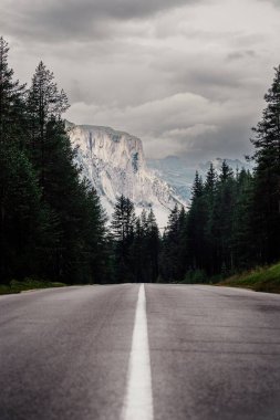 Çam ağaçlarıyla çevrili boş bir kırsal yol bulutlu bir gökyüzüne karşı.