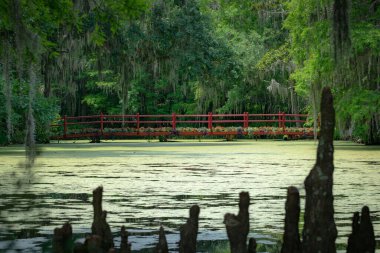 Güney Carolina 'da yosunlu bir göletin üzerinde güzel bir kırmızı köprü görüntüsü.