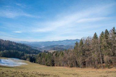 Mavi gökyüzünün arka planında çayırın ve ormanın manzarası.