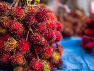 Bir Rambutan 'a yakın çekim.