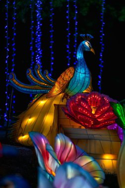 Parkta aydınlatılmış bir tavus kuşu.