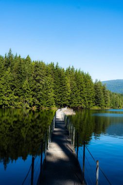 Baharda Sasamat Gölü, Kanada, Britanya Kolumbiyası üzerindeki güzel bir rıhtım manzarası