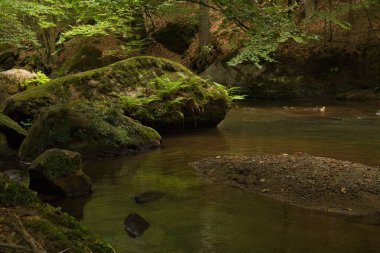 Çimlerle çevrili akan kayalık bir nehir.