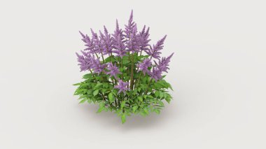 Beyaz arka planda Çin astillerinin yakın plan çekimi.