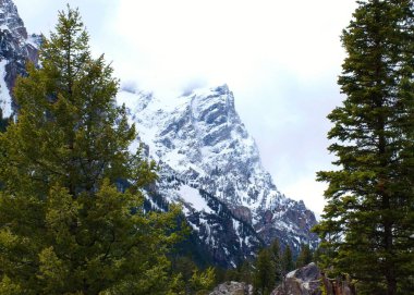 Owen Dağı 'nın güzel manzarası Ağaç yapraklarından