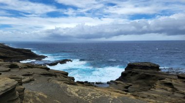 Honolulu 'nun dalgalı kıyı şeridi