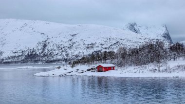 Norveç 'teki gölden görünen beyaz karlı göl kıyısında küçük kırmızı ahşap bir ev.